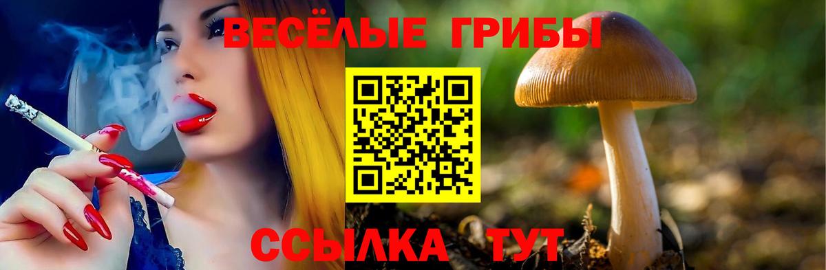 Галлюциногенные грибы мицелий Коммунар